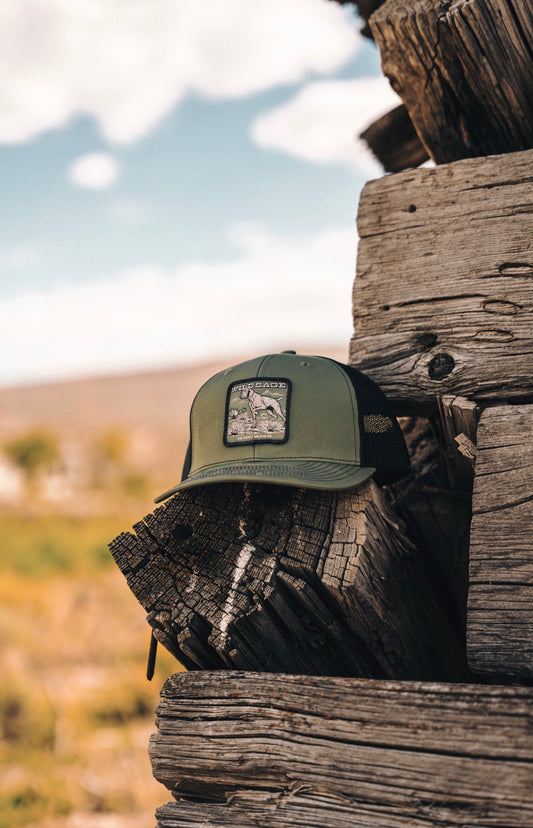 Wild Sage Patch Hat - Richardson 112