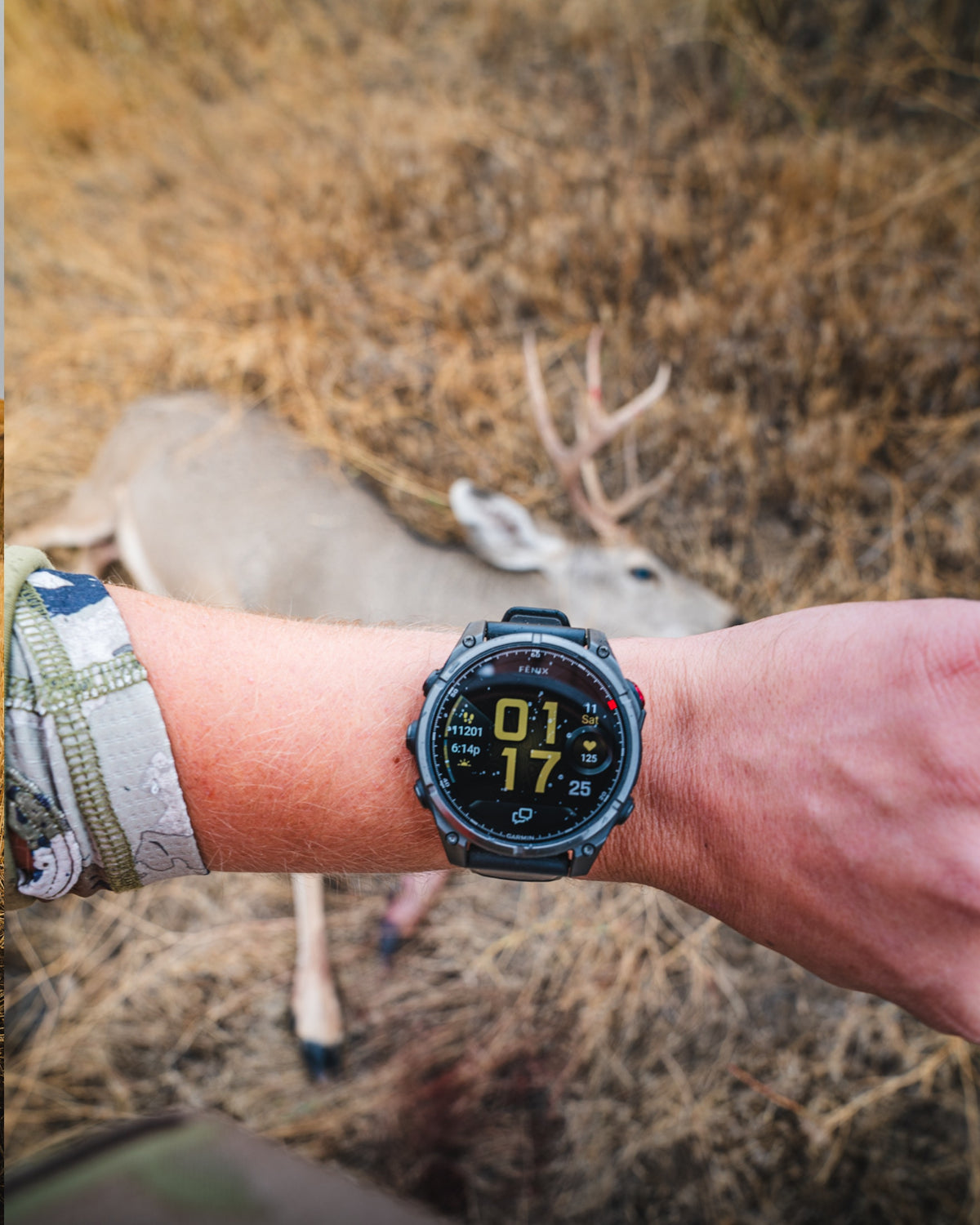 Garmin field tech content
