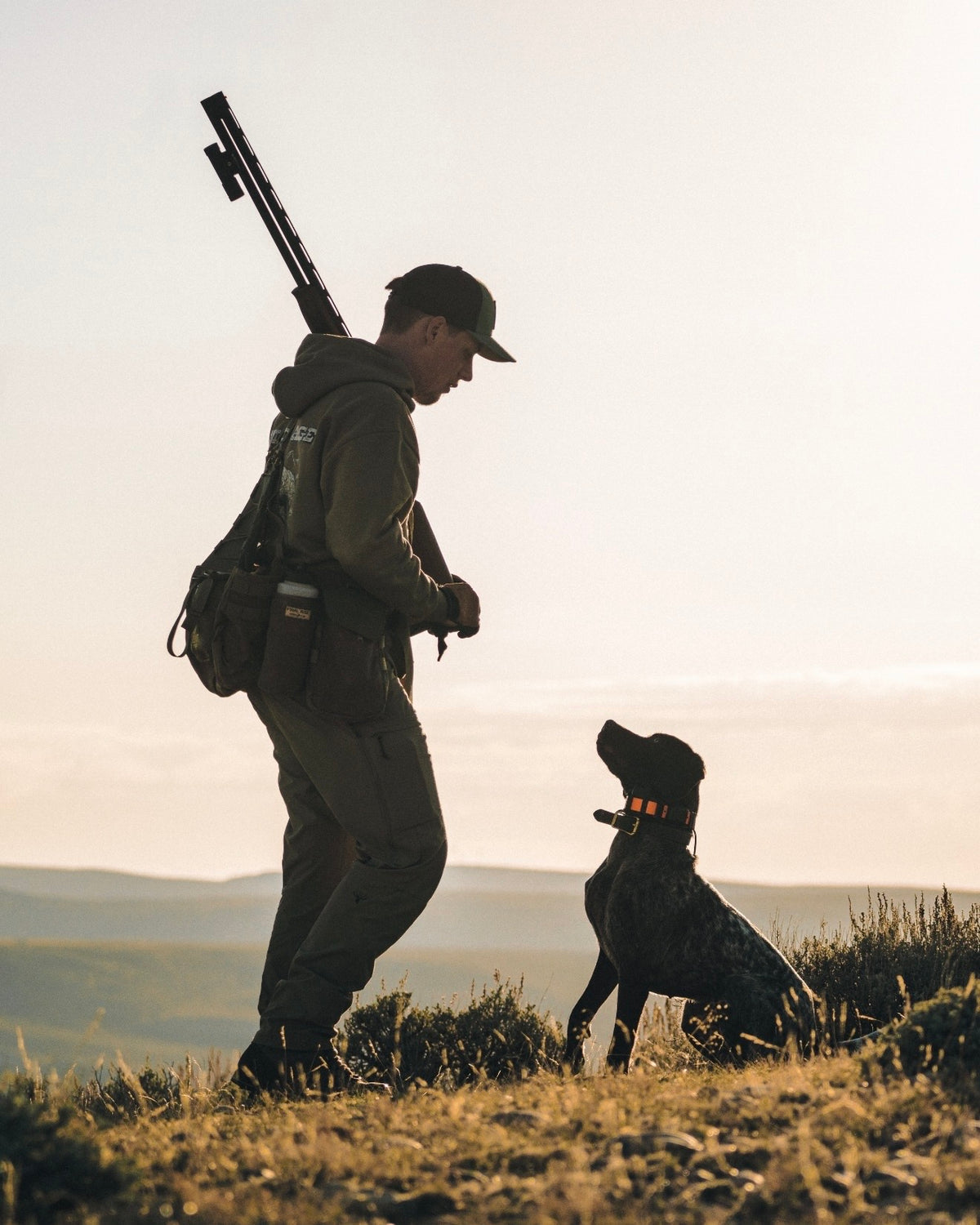 Sage, a liver roan German Shorthaired Pointer, in Wyoming sagebrush